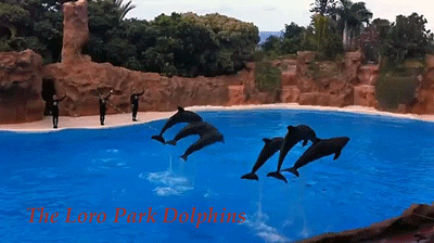 Loro Park