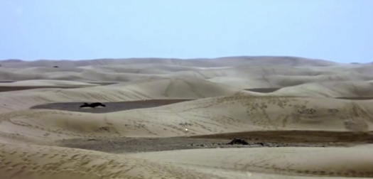 Maspalomas dunes