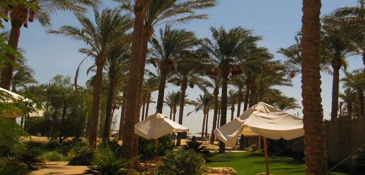 Luxurious Makadi Bay complex Luxurious Makadi Bay complex