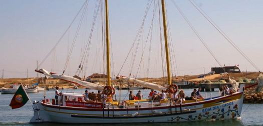 Boat Trips