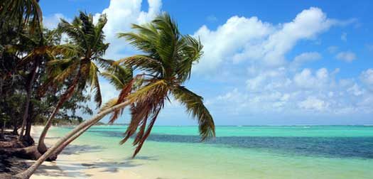 tropical-beach tropical-beach