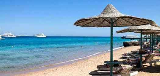 beach on the red sea in egypt beach on the red sea in egypt