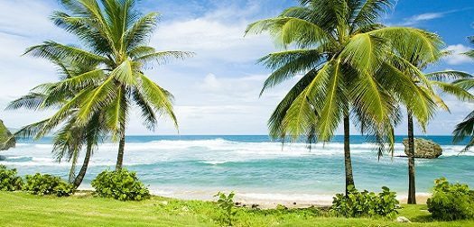 Bathsheba, East coast of Barbados, Caribbean Bathsheba, East coast of Barbados, Caribbean