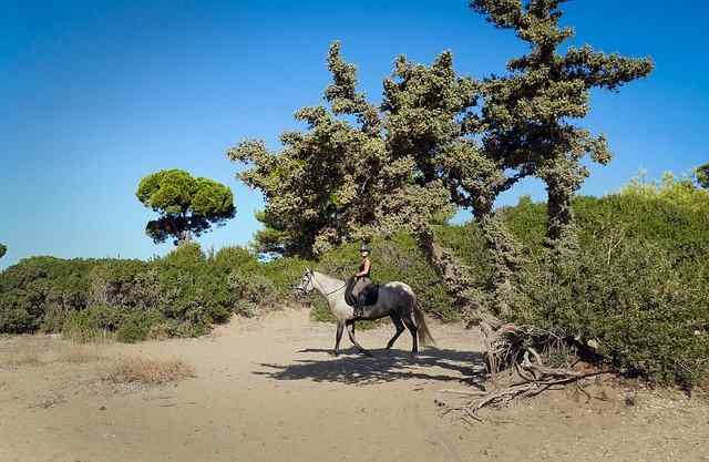 Gerakina horse riding